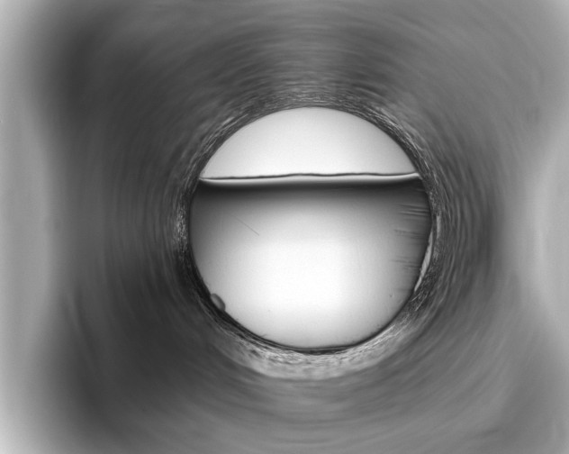 X0000096430048200801241032