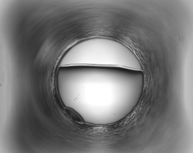 X0000096430050200801241032