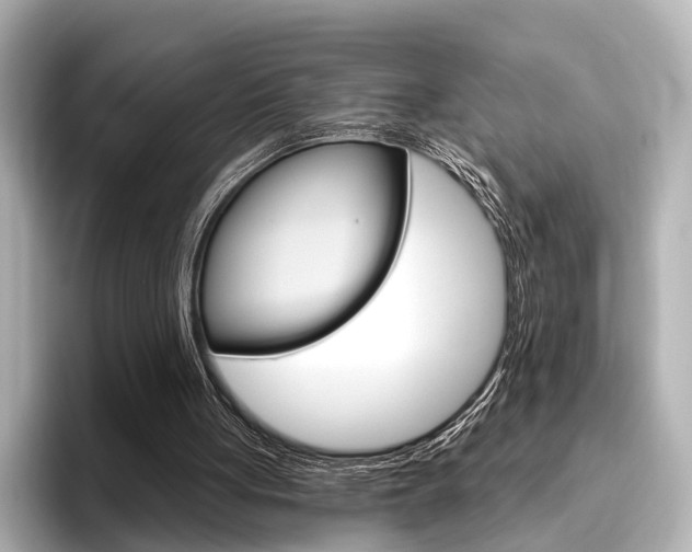 X0000096430051200801241032