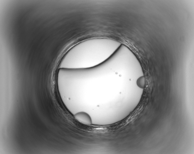 X0000096430053200801241032
