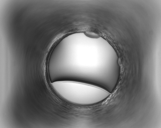 X0000096430054200801241032