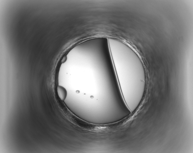 X0000096430055200801241032