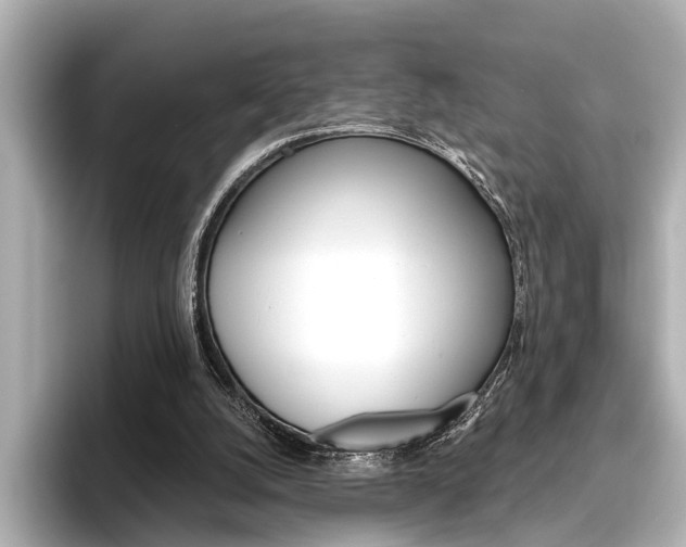 X0000096430056200801241032