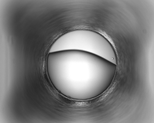 X0000096430057200801241032