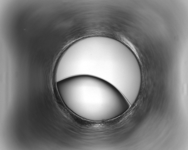 X0000096430059200801241032