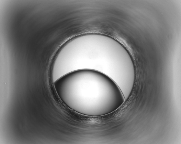 X0000096430060200801241032