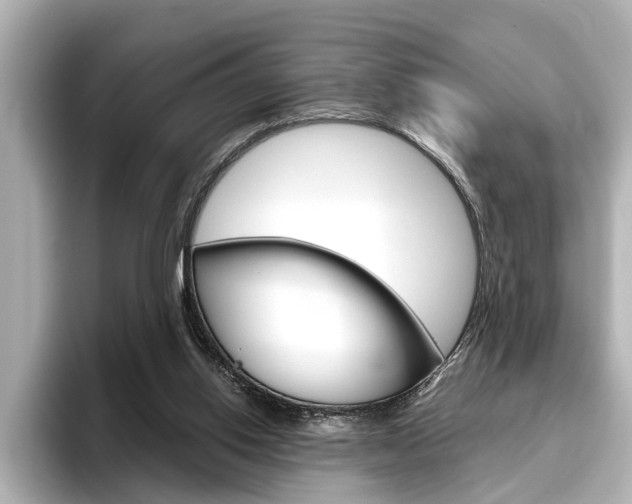X0000096430062200801241032