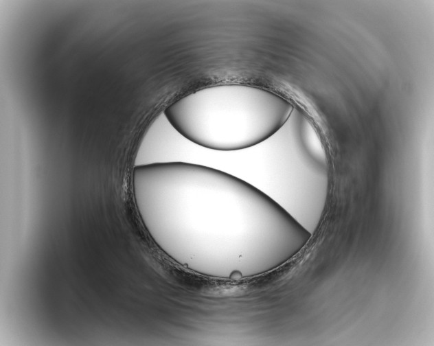 X0000096430065200801241032