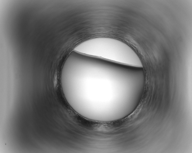 X0000096430074200801241032