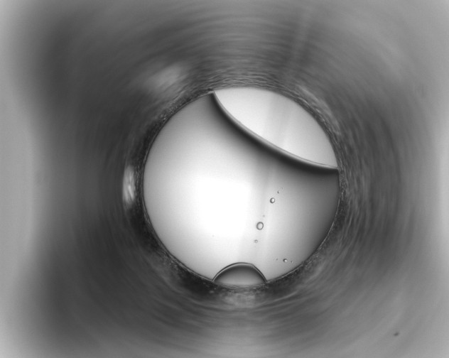 X0000096430075200801241032