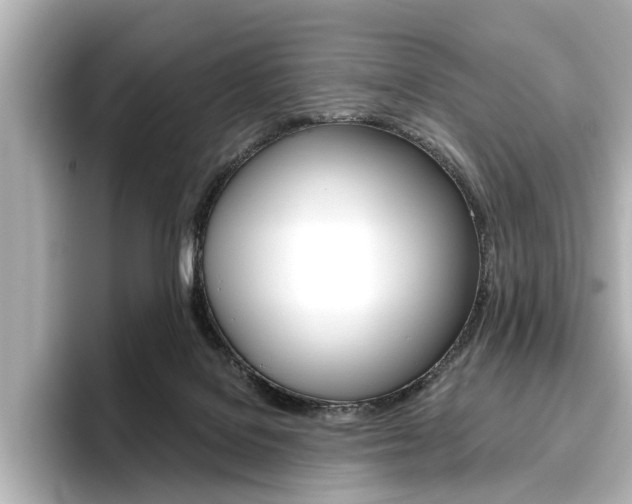 X0000096430076200801241032