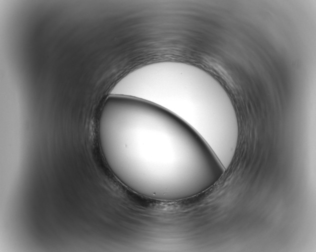 X0000096430077200801241032