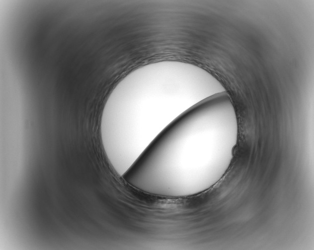 X0000096430082200801241032