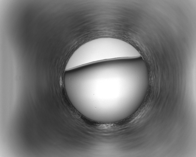 X0000096430089200801241032