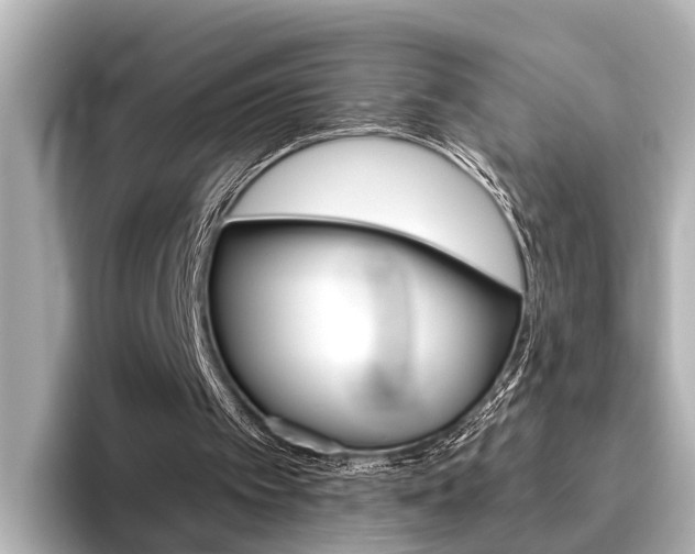 X0000096430097200801241032
