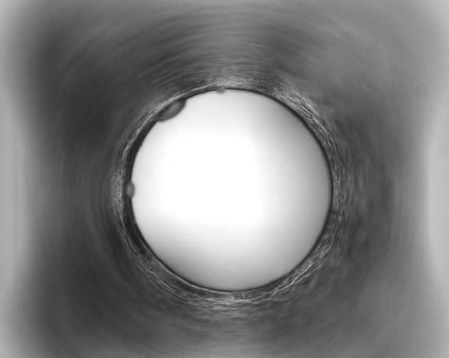 X0000096430098200801241031