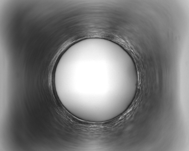 X0000096430099200801241031