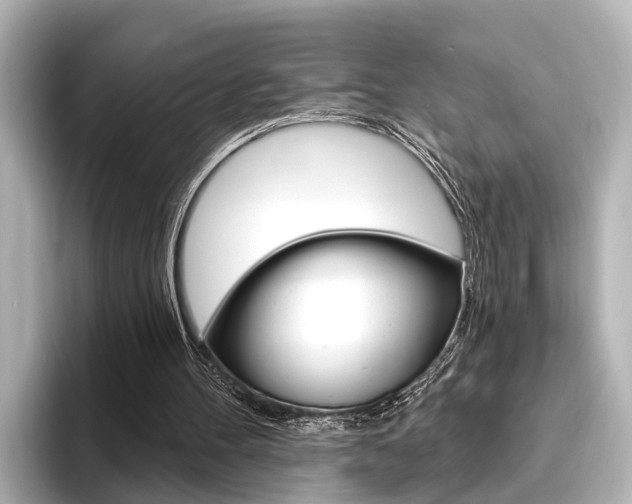 X0000096430100200801241031