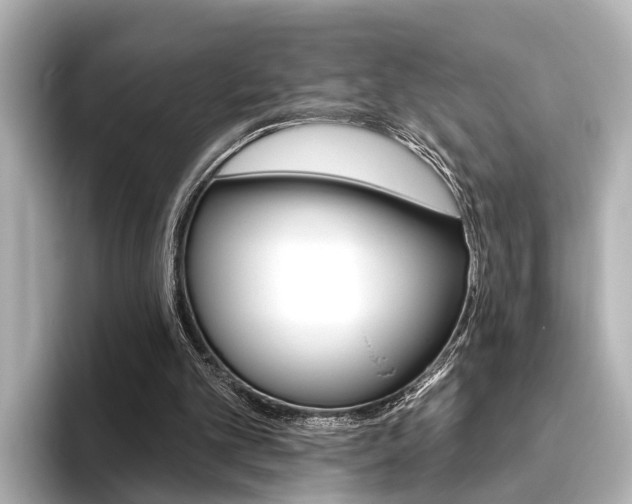 X0000096430101200801241031