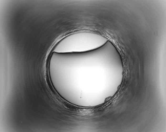 X0000096430102200801241031
