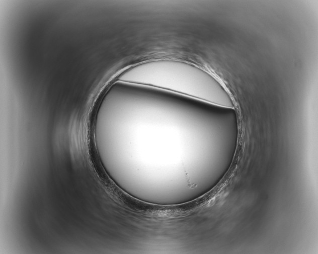 X0000096430103200801241031