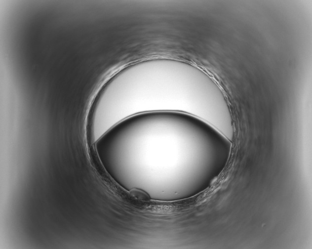 X0000096430104200801241031