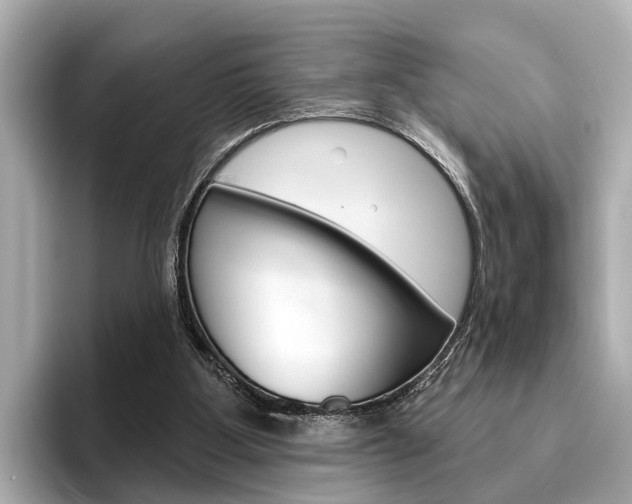 X0000096430107200801241031