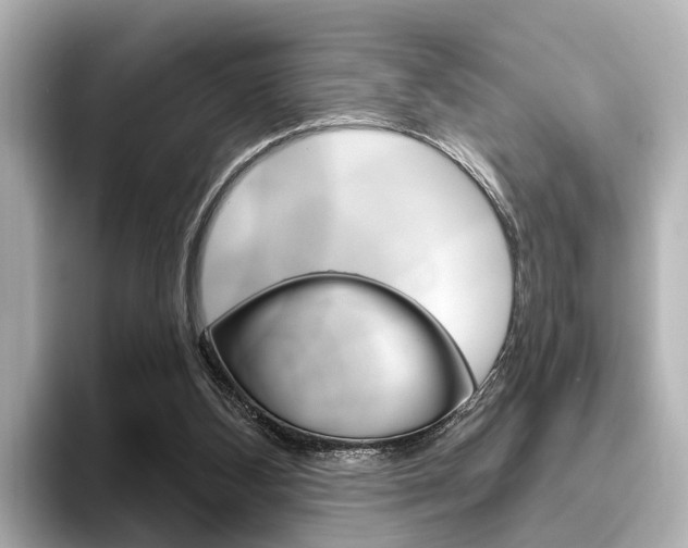 X0000096430108200801241031