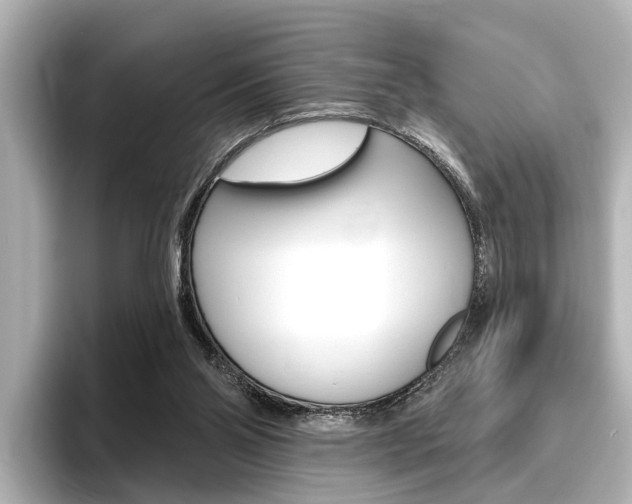 X0000096430110200801241031