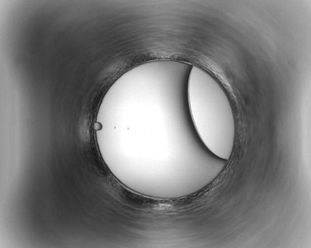 X0000096430114200801241031
