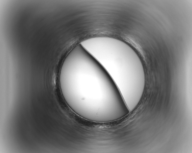 X0000096430115200801241031