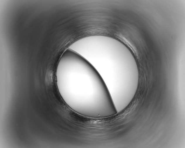 X0000096430117200801241031