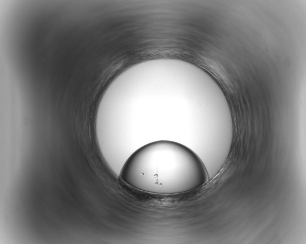X0000096430120200801241031