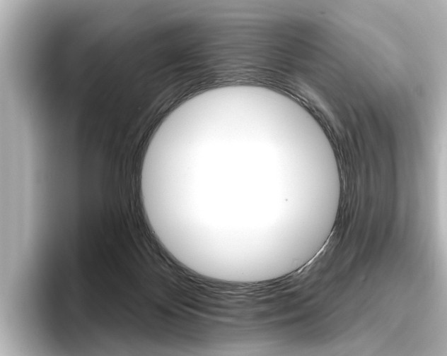 X0000096430124200801241031
