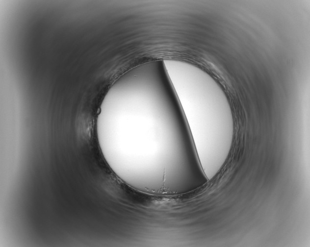 X0000096430125200801241031