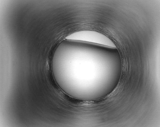 X0000096430128200801241031