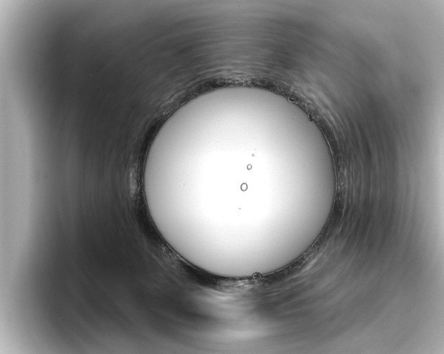 X0000096430131200801241031