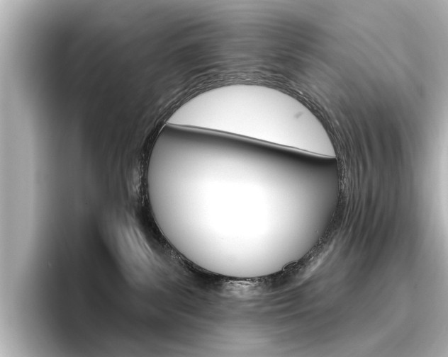 X0000096430139200801241031
