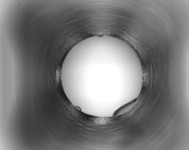 X0000096430142200801241031