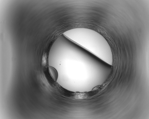 X0000096430143200801241031