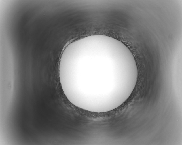X0000096430144200801241031