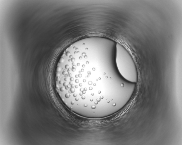 X0000096430145200801241030