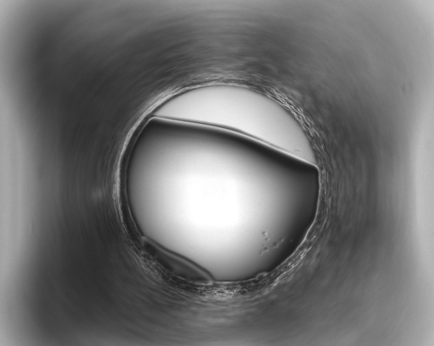 X0000096430148200801241030