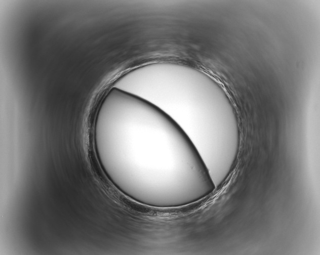 X0000096430149200801241030