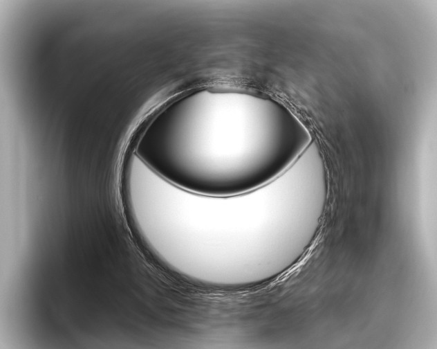 X0000096430150200801241030