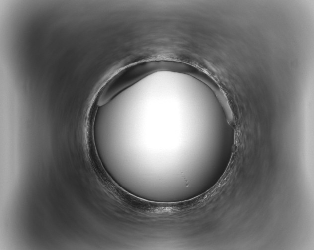 X0000096430152200801241030