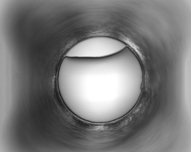 X0000096430153200801241030