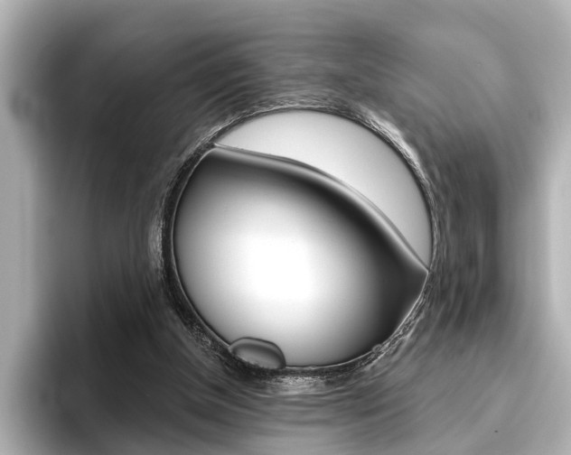 X0000096430154200801241030
