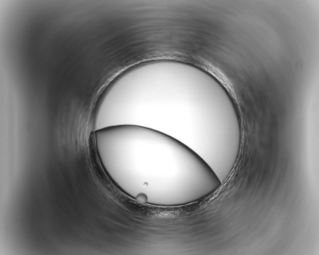 X0000096430155200801241030