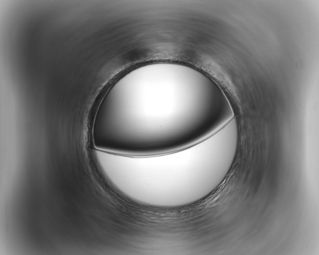 X0000096430156200801241030